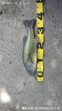 ¥Ö¥é¥Ã¥¯¥Ð¥¹