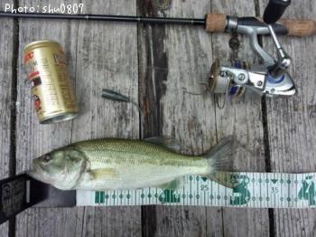 ¥Ö¥é¥Ã¥¯¥Ð¥¹