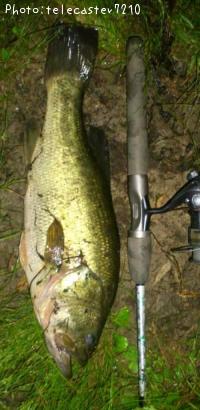 �֥�å��Х�