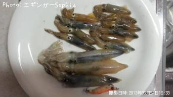 �ҥ�������ꥤ��