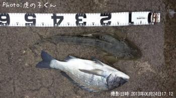 �����������ޥ���