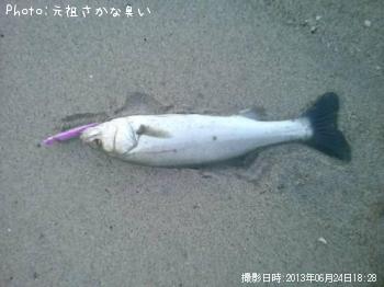 �����Х�