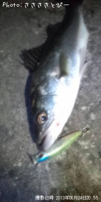 �����Х����٥���