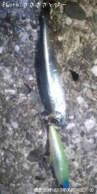 �����Х����٥���