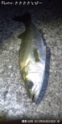 �����Х����٥���