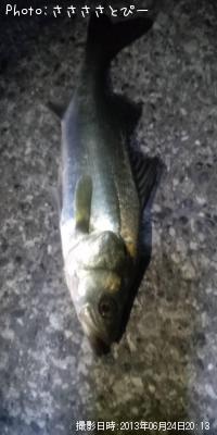 �����Х����٥���