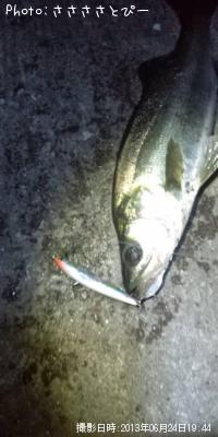 �����Х����٥���