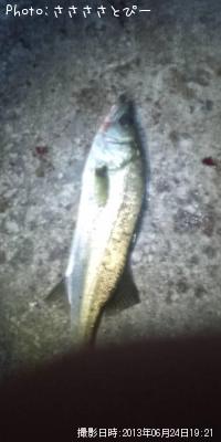 �����Х����٥���