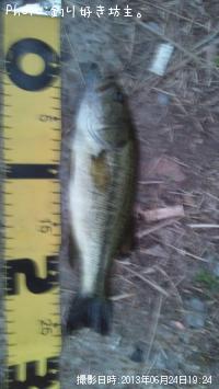 �֥�å��Х�