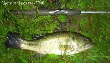 �֥�å��Х�