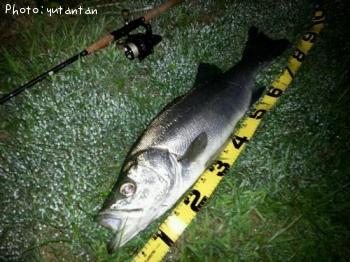 �ҥ饹����