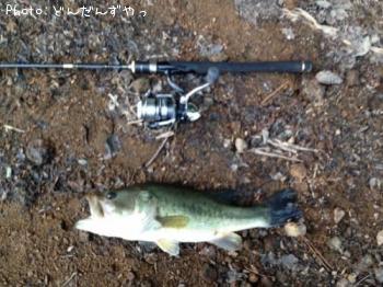 �֥�å��Х�