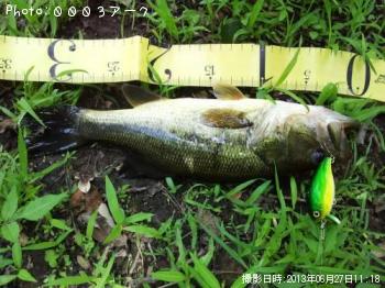 �֥�å��Х�