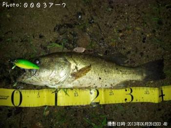 �֥�å��Х�