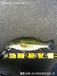 ¥Ö¥é¥Ã¥¯¥Ð¥¹