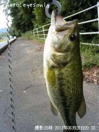 ¥Ö¥é¥Ã¥¯¥Ð¥¹