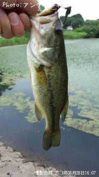 ¥Ö¥é¥Ã¥¯¥Ð¥¹