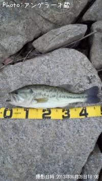 �֥�å��Х�