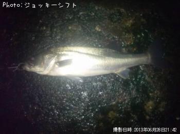 �����Х�