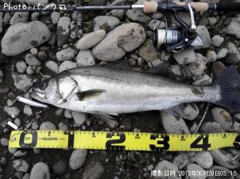 �����Х�