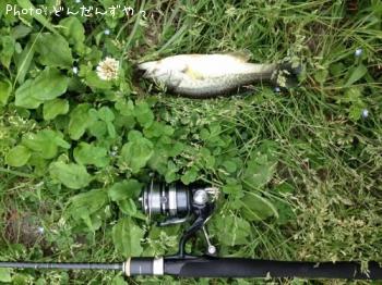 ¥Ö¥é¥Ã¥¯¥Ð¥¹