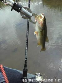 ¥Ö¥é¥Ã¥¯¥Ð¥¹