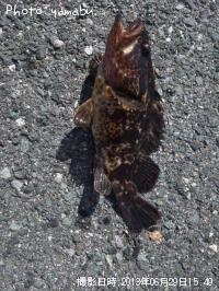 ¥¿¥±¥Î¥³¥á¥Ð¥ë