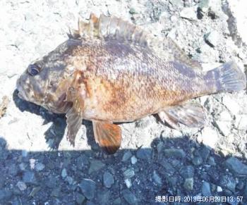 �����Υ���Х����饽��