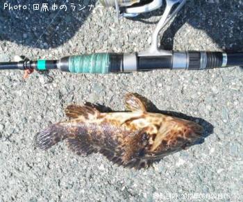 �����Υ���Х����饽��