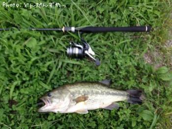 �֥�å��Х�