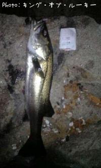 �����Х�