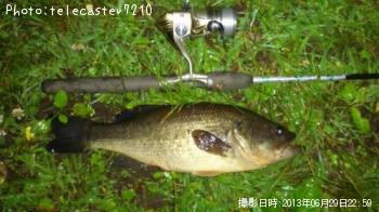 ¥Ö¥é¥Ã¥¯¥Ð¥¹