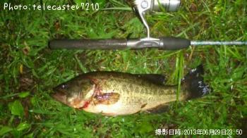 �֥�å��Х�