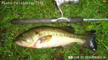 ¥Ö¥é¥Ã¥¯¥Ð¥¹