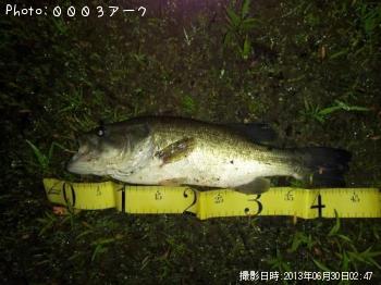 ¥Ö¥é¥Ã¥¯¥Ð¥¹