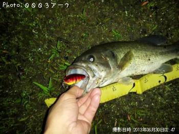 ¥Ö¥é¥Ã¥¯¥Ð¥¹