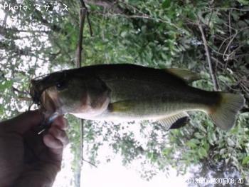 �֥�å��Х�