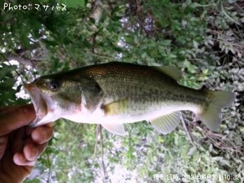 ¥Ö¥é¥Ã¥¯¥Ð¥¹