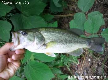 �֥�å��Х�