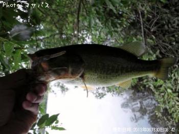 �֥�å��Х�