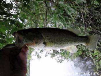 �֥�å��Х�