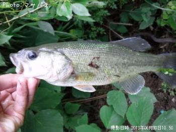 �֥�å��Х�