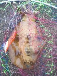 �����ꥤ��