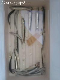 ¥«¥¿¥¯¥Á¥¤¥ï¥·