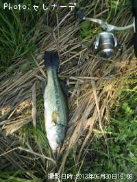 �֥�å��Х�