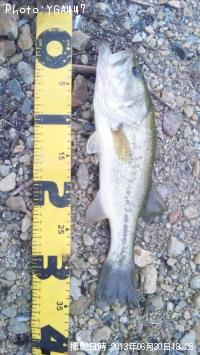 �֥�å��Х�