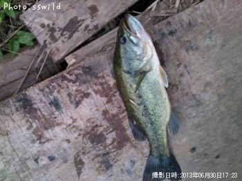 �֥�å��Х�