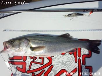 �����Х�