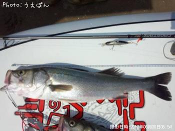 �����Х�