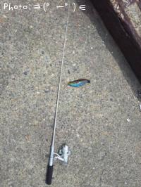 �����ޥ�����٥�